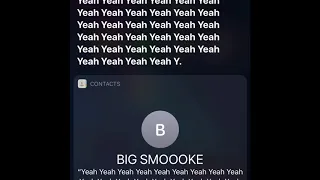 Siri Has A Seizure 