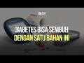 dr. Zaidul Akbar Sebut Diabetes Bisa Sembuh dengan Satu Bahan Ini