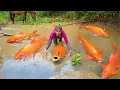 Download Lagu Harvesting Lots Of Fish At Mud Pond - Use Horse Carry Fish Goes To Market Sell