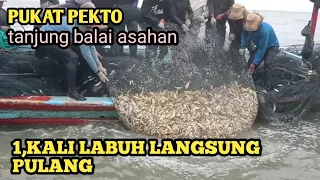 melihat hasil nelayan pelaut pukat pekto menangkap ikan tanjung balai Asahan
