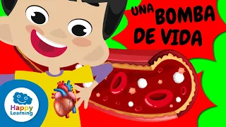 🫀 ¿CÓMO VIAJA la sangre por tu cuerpo? | Vídeos Educativos para Niños de PRIMARIA | @HappyLearningES