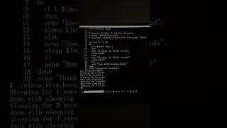 Linux BASH Shell Script on for loop sleep and if statement