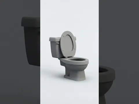 toilet in void 5 second