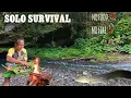 Lagu SURVIVAL CHALLENGE : SOLO SURVIVAL DI HUTAN SOLOMON ISLAND // NO FOOD❓NO FIRE❓CATCH N COOK