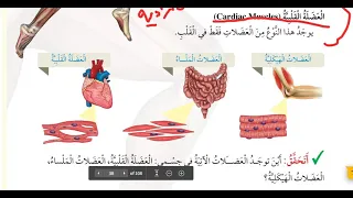 الصف الخامس العلوم الوحدة السابعة اجهزة جسم الانسان الدرس الثالث الجهاز الهيكلي و الجهاز العضلي المن 