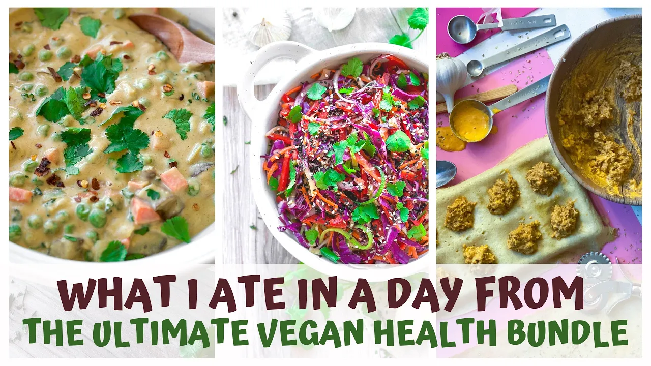 WHAT I ATE IN A DAY from THE VEGAN BUNDLE!