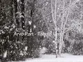Arvo Pärt - Tabula Rasa. II