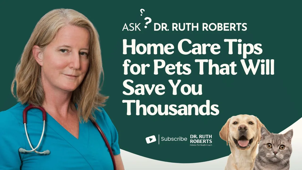 Home Care Tips fo Pets That Will Save You Thousands | Ask Dr. Ruth Roberts