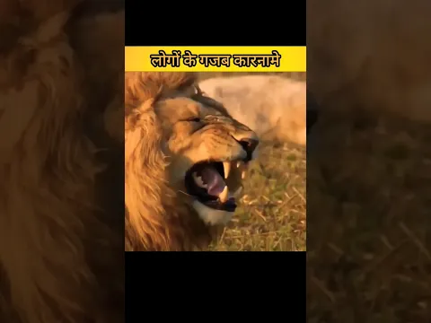 logo ke gajab karnaame  #shorts #shortsfeed #facts