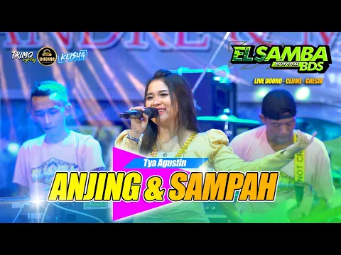 Download MP3 ANJING & SAMPAH - Tya Agustin ELSAMBA Ft Dhehan Jenggot Live Cerme - Gresik #2023