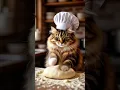 Lagu Miss Cat Chef  #funny #nextgenai #gemini #youtubeshorts #trendingshorts #ytviral #ytshorts #short