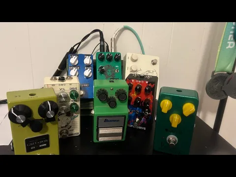 The Forest Song YouTube video - YouTube thumbnail