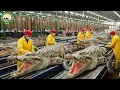 Lagu Inside the Crocodile Leather Factory | How Crocodile Skin Becomes Luxury Fashion (Full Process)