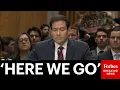 BREAKING NEWS Marco Rubio Interrupted By Protester While Giving Opening Statement