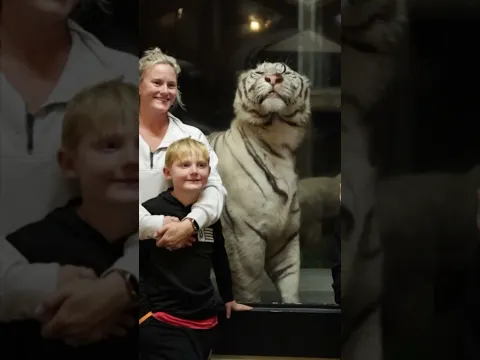 Day or night, adventure awaits! Experience the Wild Encounters Tour at Myrtle Beach Safari 🐅