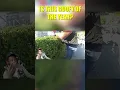 Download Lagu HE HAS TO BE GOOFY OF THE YEAR