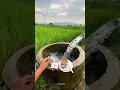 Download Lagu story wa minum kopi di TENGGAH sawah segerr