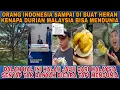 Lagu INDONESIA REBUT MUSANG KING YG MENDUNIA DARI MALAYSIA ASAL DARI KALIMANTAN‼️