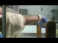 Ouch Inside an Insect Repellent Test Lab Consumer Reports