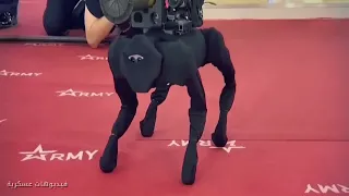 روسيا تكشف عن كلب النينجا المقاتل تعرف على تكنلوجيا الروبوتات العسكرية 