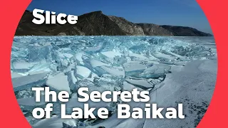 Download Lake Baikal: A biological treasure trove | SLICE MP3