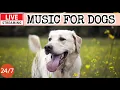 Download Lagu 🔴[LIVE] Dog Music🎵🐶Calming Music for Dogs💖Separation Anxiety Relief🦮Music to Help Dogs Sleep🔴22