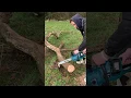 Download Lagu Which Chainsaw? Makita 36v or Stihl Petrol ??