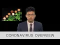 CORONAVIRUS OVERVIEW - UCSF COVID Student Aid Team