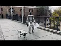 Download Lagu Spelen met de unitree G1 Mensrobot en de Robothond B2 – Ik test ze in het robotlab in Nijmegen