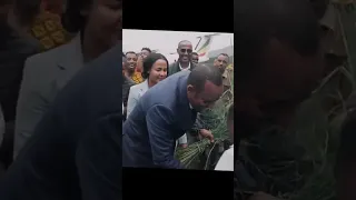 ጠ ሚ አብይ አህመድ ዶ ር ወላይታ ሶዶ ከተማ ሲገቡ ደማቅ አቀባበል ተደረገላቸው 