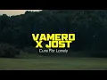 Download Lagu VAMERO x Jost - Cure For Lonely (Official Video)