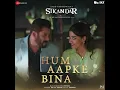 Hum Aapke Bina | Sikandar | Arijit Singh | Pritam | Sameer
