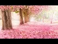 Download Lagu Peaceful music, Relaxing music, Instrumental music, Nature's Valentine\