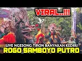 Download Lagu Barongan Galak Ngamuk JARANAN ROGO SAMBOYO PUTRO Terbaru Live Ngesong Tiron Banyakan Kediri