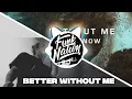 Better Without Me Post Malone Hasley Mashup