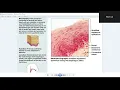 Marieb Human Anatomy Physiology Chapter 4 Tissues