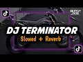Download Lagu Dj Terminator x Mashup Old x Tumanedang (Slowed + Reverb)