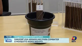 Xanxerê aposta em ovitrampas para combater o mosquito da dengue