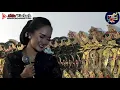 Download Lagu Ana Pertiwi - Rujak Jeruk // Ki Seno Dalam Kenangan