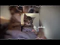 Download Lagu Clouds of joyfulness (غيوم الفرح) || Muhammad al muqit (sped up + reverb) Arabic nasheed