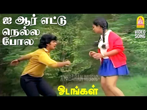 Ayyarettu Nella Pola - YouTube