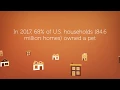 How Much Does Vet Care Cost