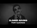 Bayhan - Tiryakinim (slowed reverb)