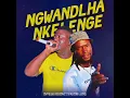 Download Lagu Oumega Vision ft Pastor Lloyd -- Ngwandlha Nkelenge