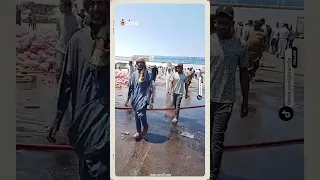 شاهد آثار حادث تصادم عدد من السيارات على طريق مطروح الإسكندرية وحالتي وفاة وإصابة 18 آخرين 