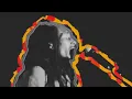 Bob Marley & The Wailers - Punky Reggae Party (Visualizer)