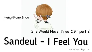 Download Sandeul - I Feel You (만져져) She Would Never Know OST Part 2//LIRIK TERJEMAHAN MP3