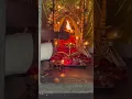 Download Lagu Daily Pooja at Kozhiparambil Bhadrakali Bhuvaneswari Vishnumaya Temple | Divine Rituals \u0026 Blessings