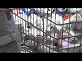 Iowa bottle bill advocates call for change as counties remain left without redemption centers