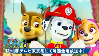 パウ・パトロール | パウ・パトロールのBFF（親友）ベストシーン1時間！💙🐾 | ラブル＆クルー | テレビ東京系にて放送中